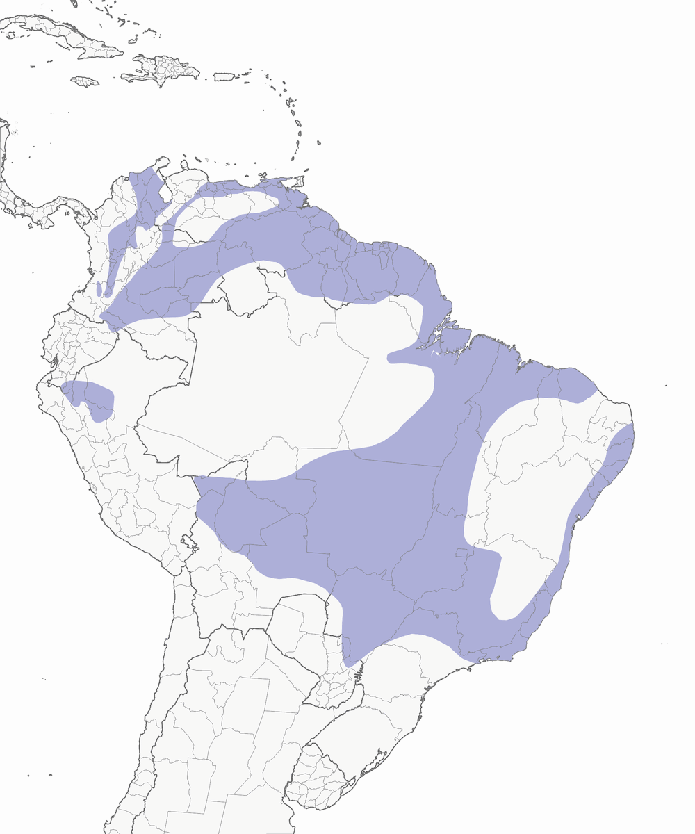 Black-faced Tanager, Distribution 1