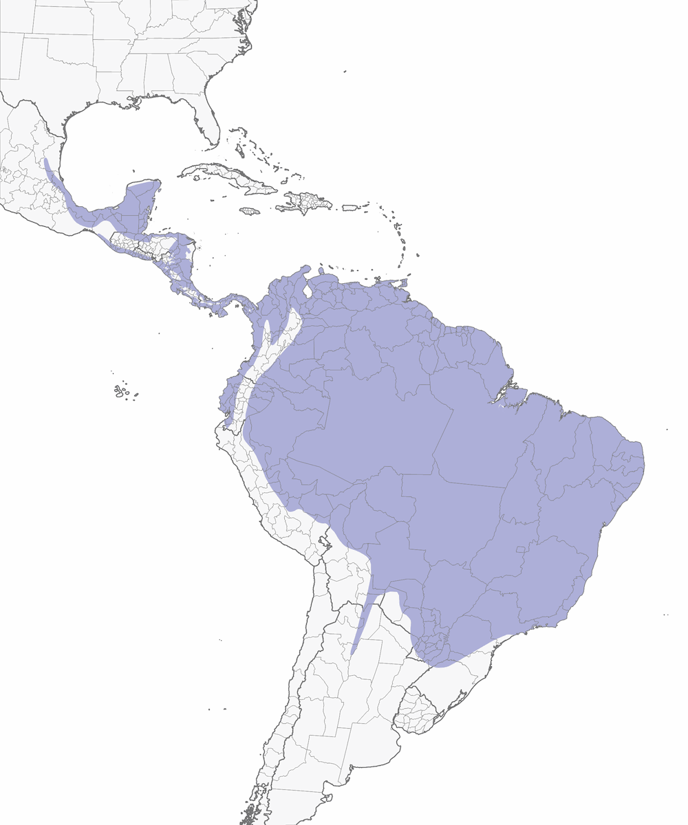 Colombine bleue, Distribution 1
