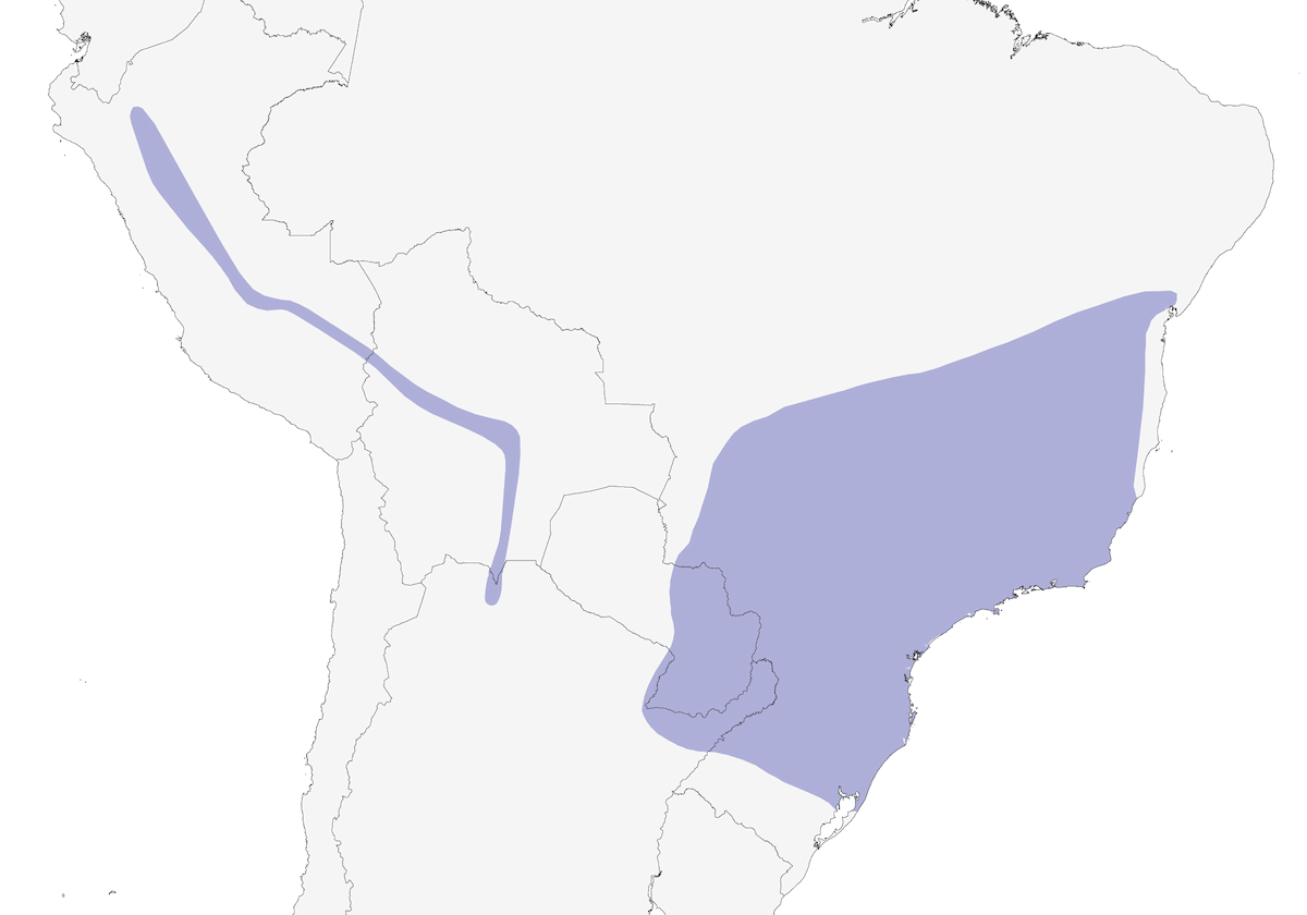 Black-goggled Tanager, Distribution 1