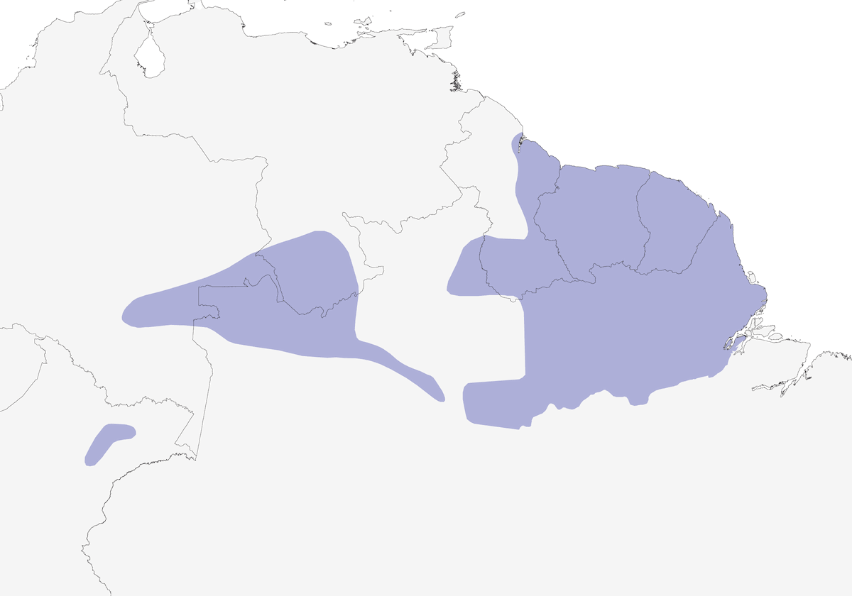 Formicario testanera, Distribuzione 1