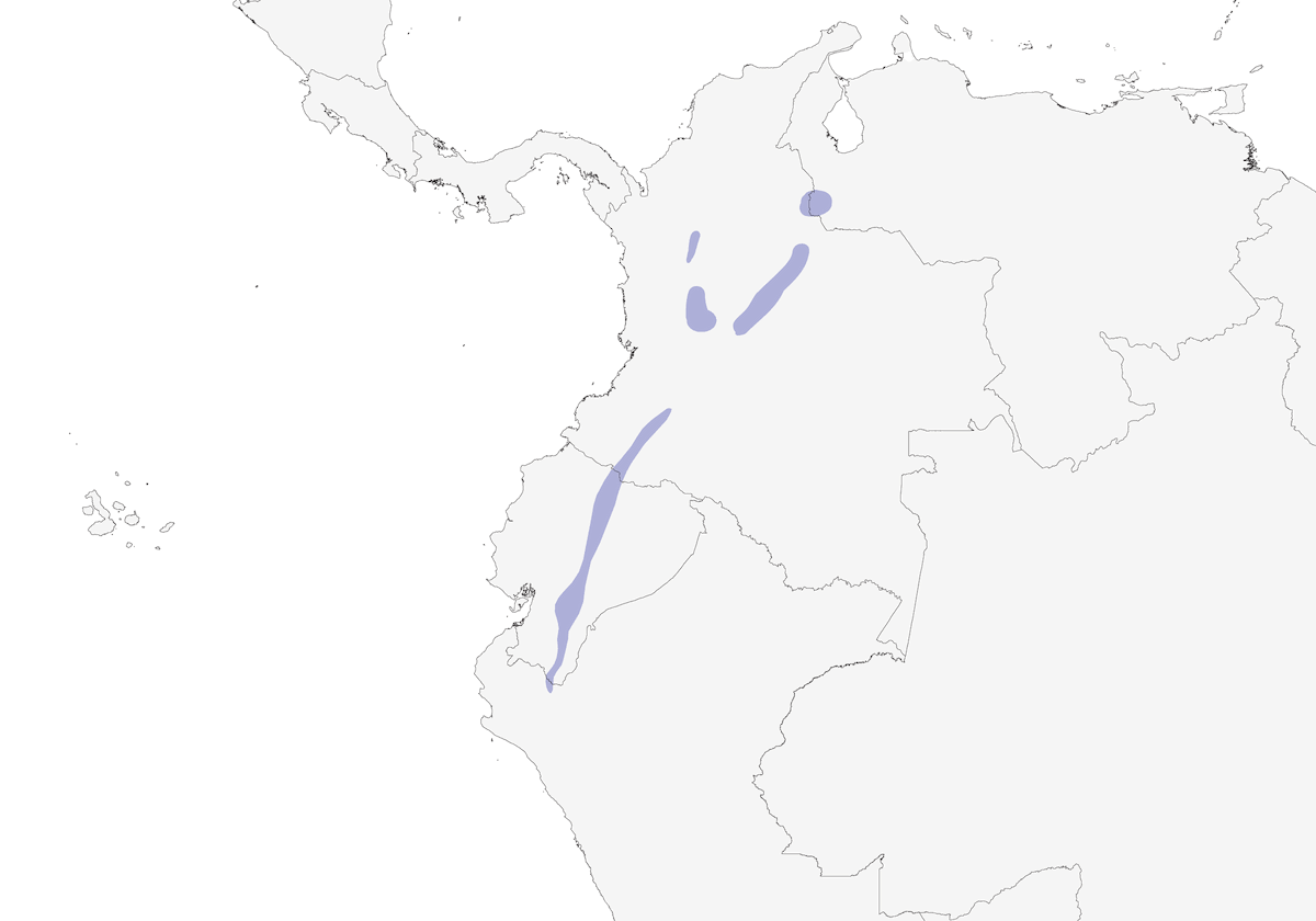 Emispingo testanera, Distribuzione 1