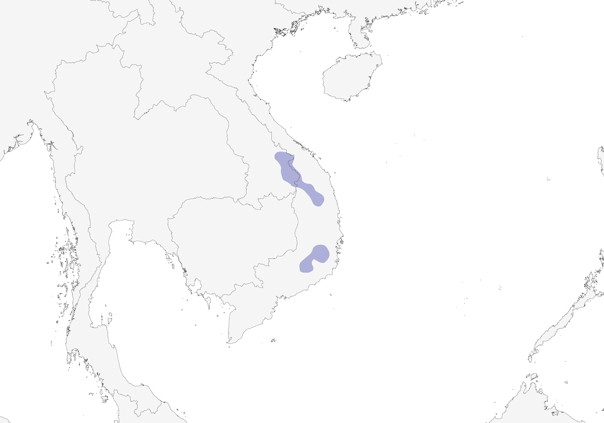 Garrulaxe de Millet, Distribution 1
