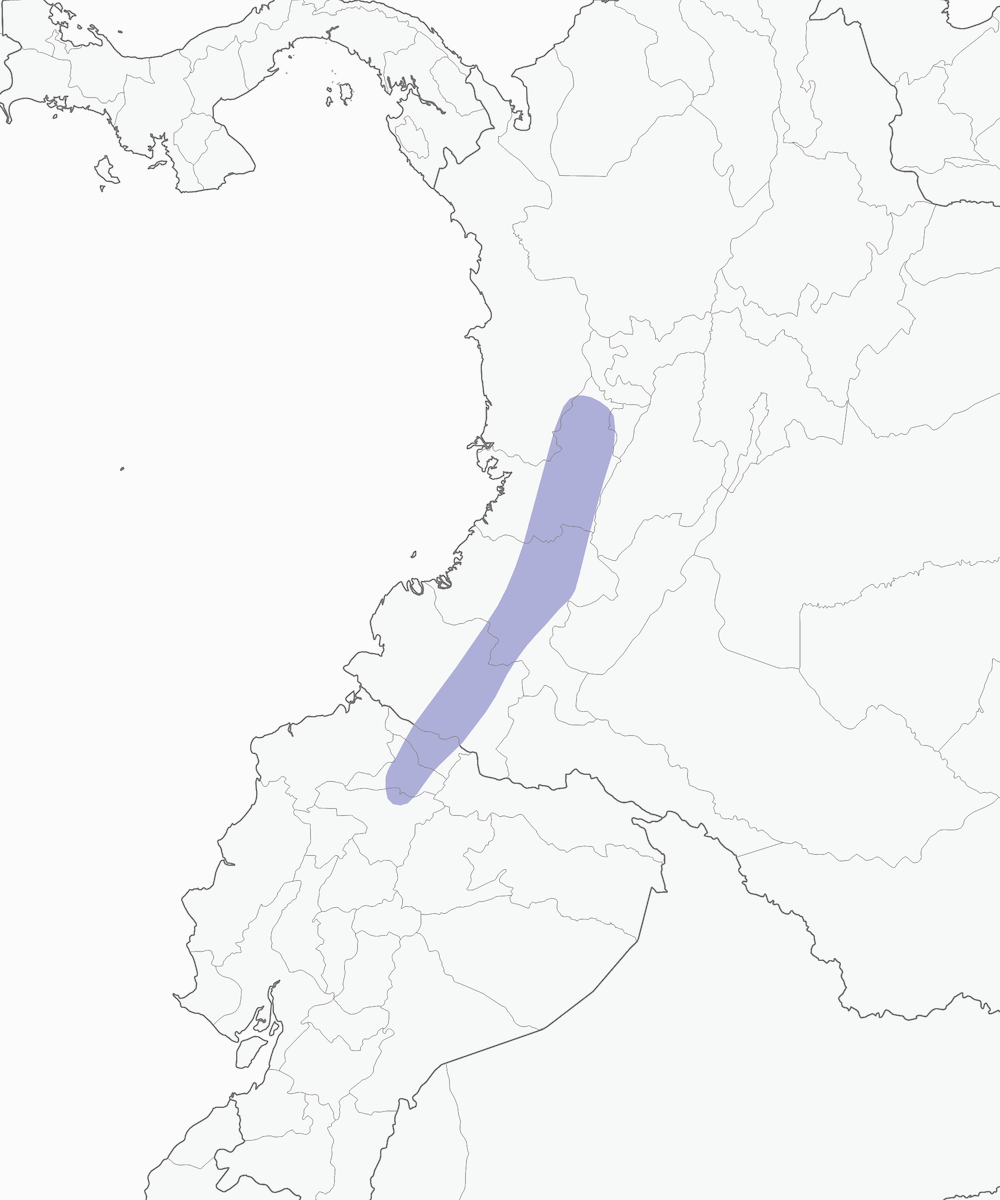 Zaffiro testablu, Distribuzione 1