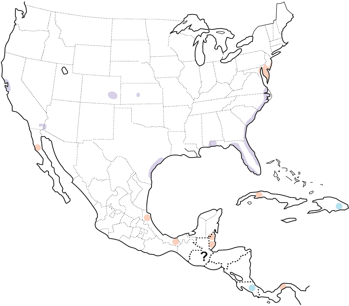 Polluela Negra, Distribución 1