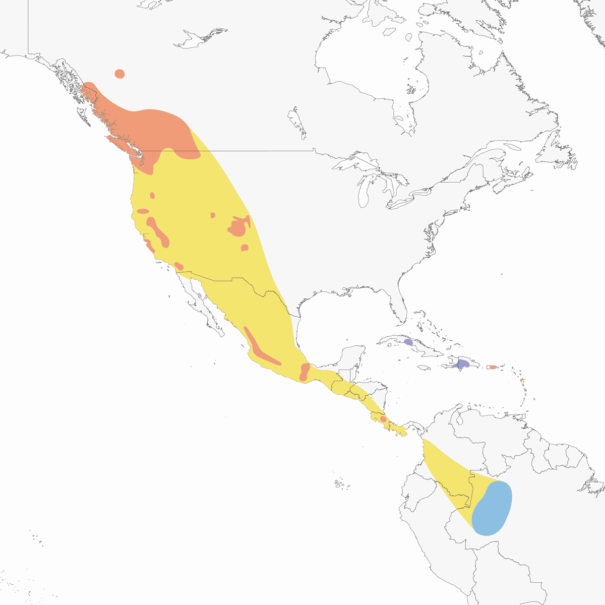 Vencejo Negro, Distribución 1
