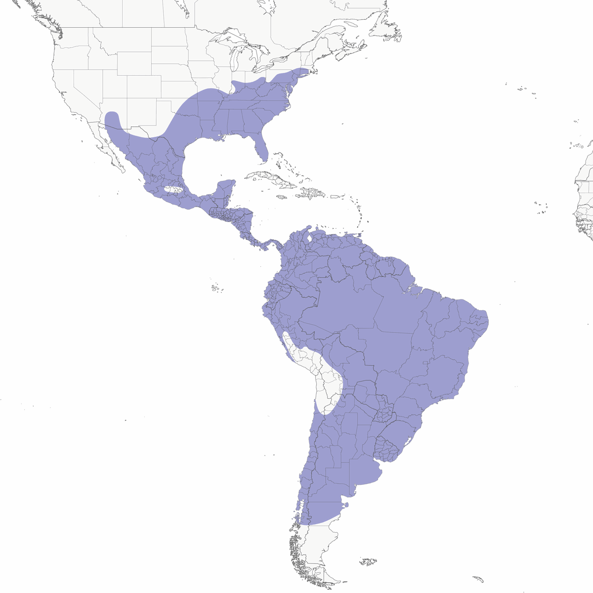 Zopilote negro, Distribución 1
