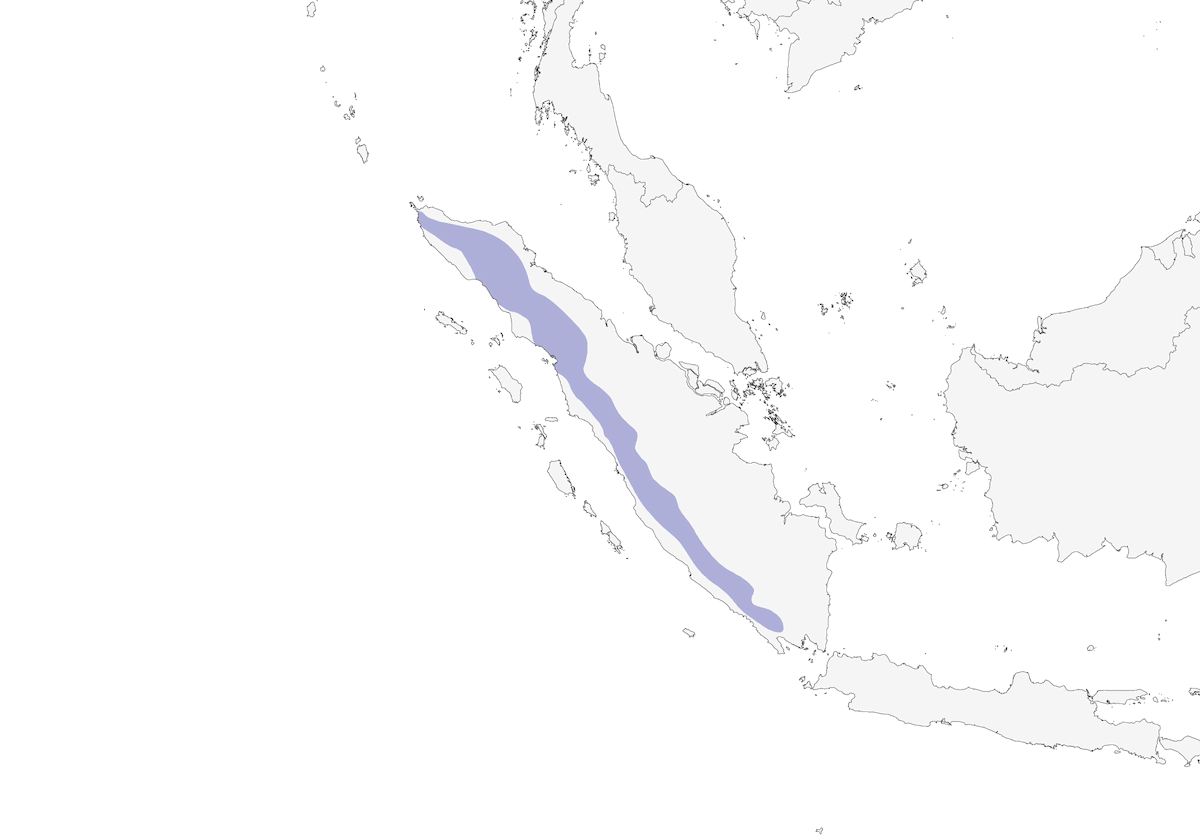 Blue-masked Leafbird, Distribution 1