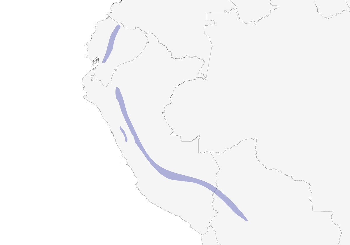 Picoespina Gorriazul, Distribución 1