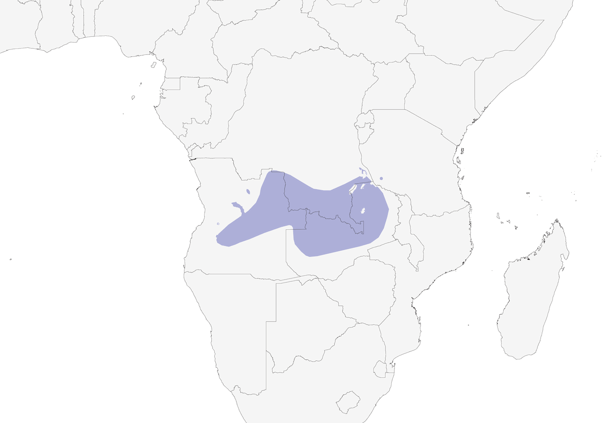 Eremomela Cuellinegra, Distribución 1
