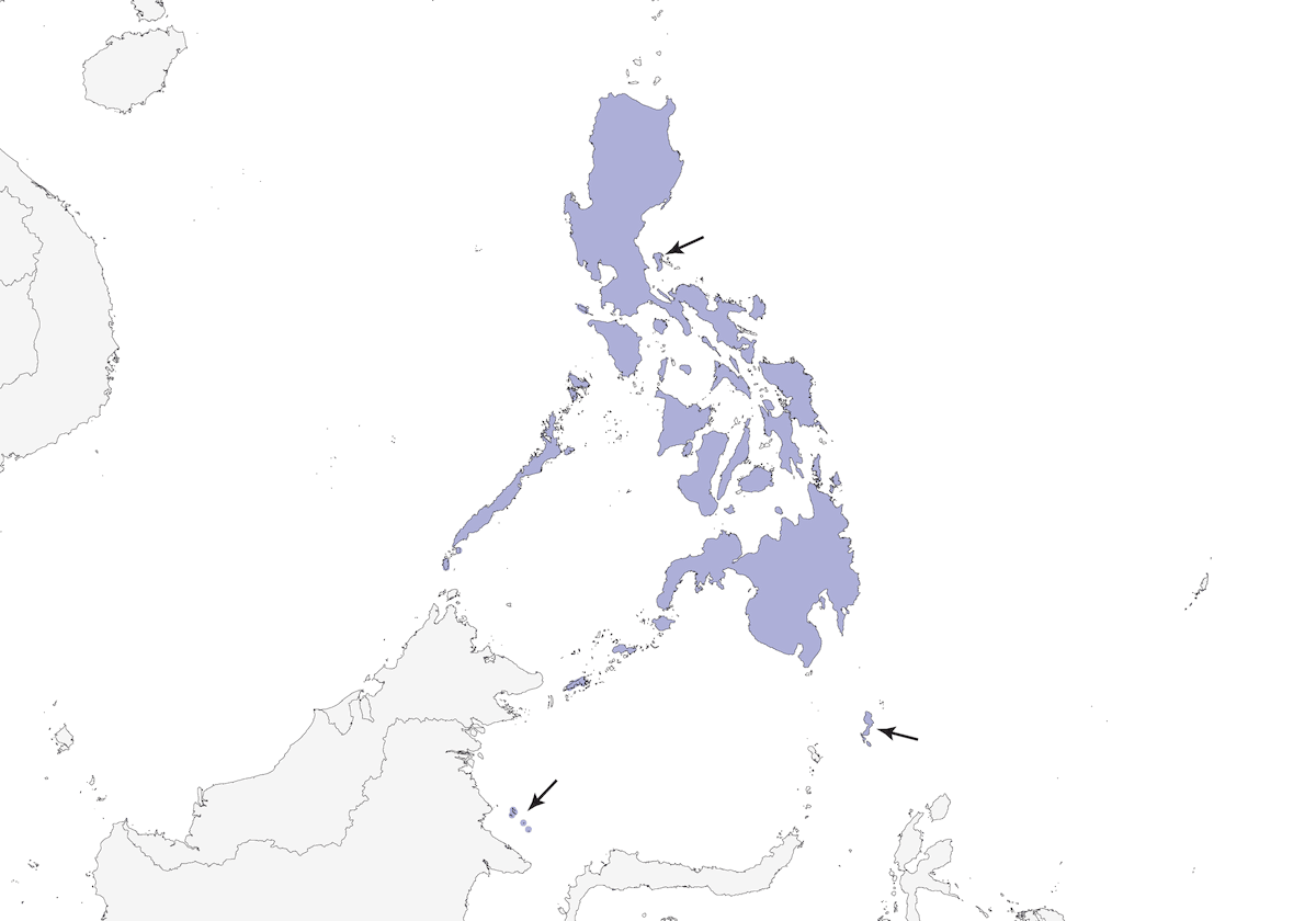 Blue-naped Parrot, Distribution 1