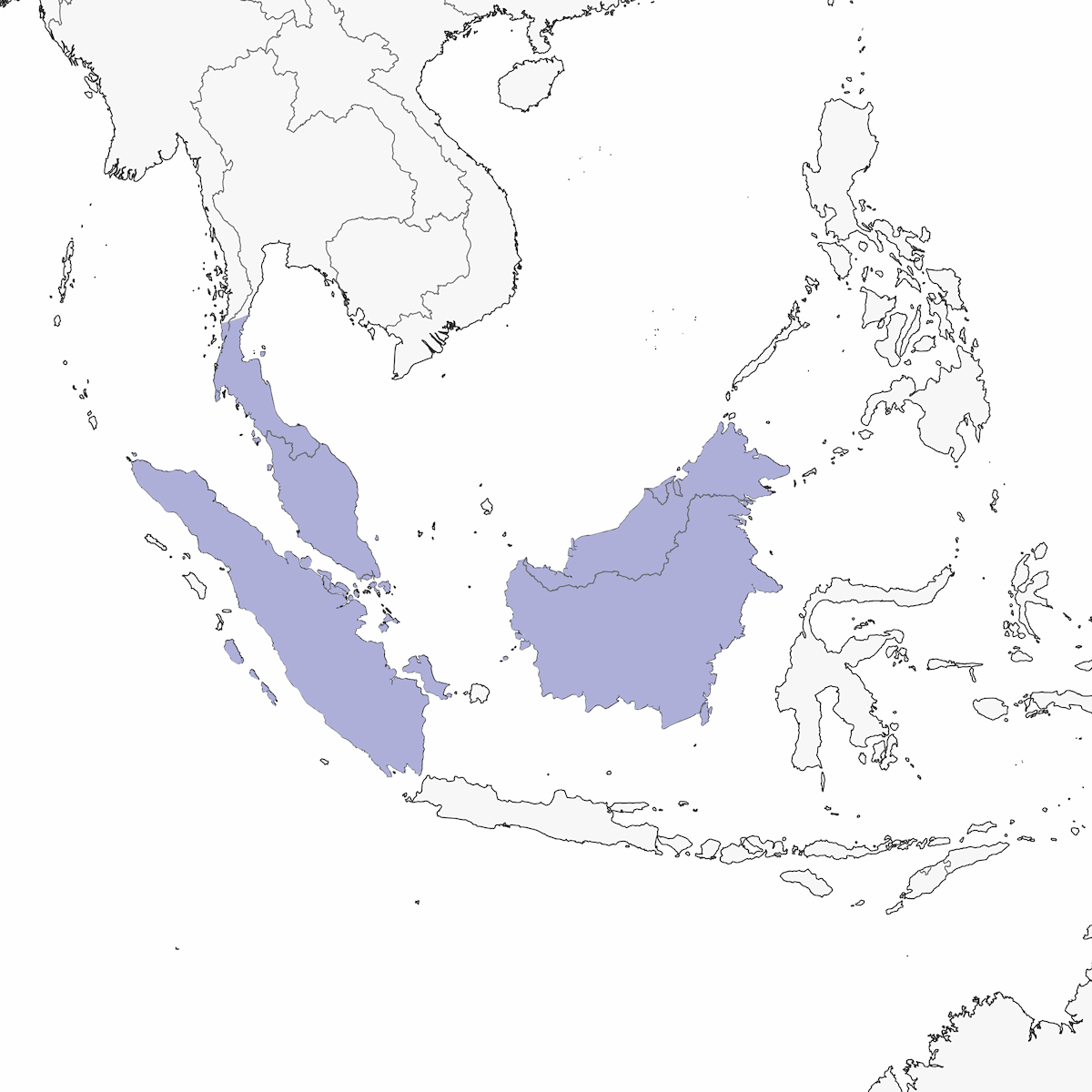Loro de Rabadilla Azul, Distribución 1