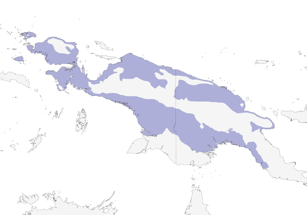 Petirrojo flanquinegro, Distribución 1