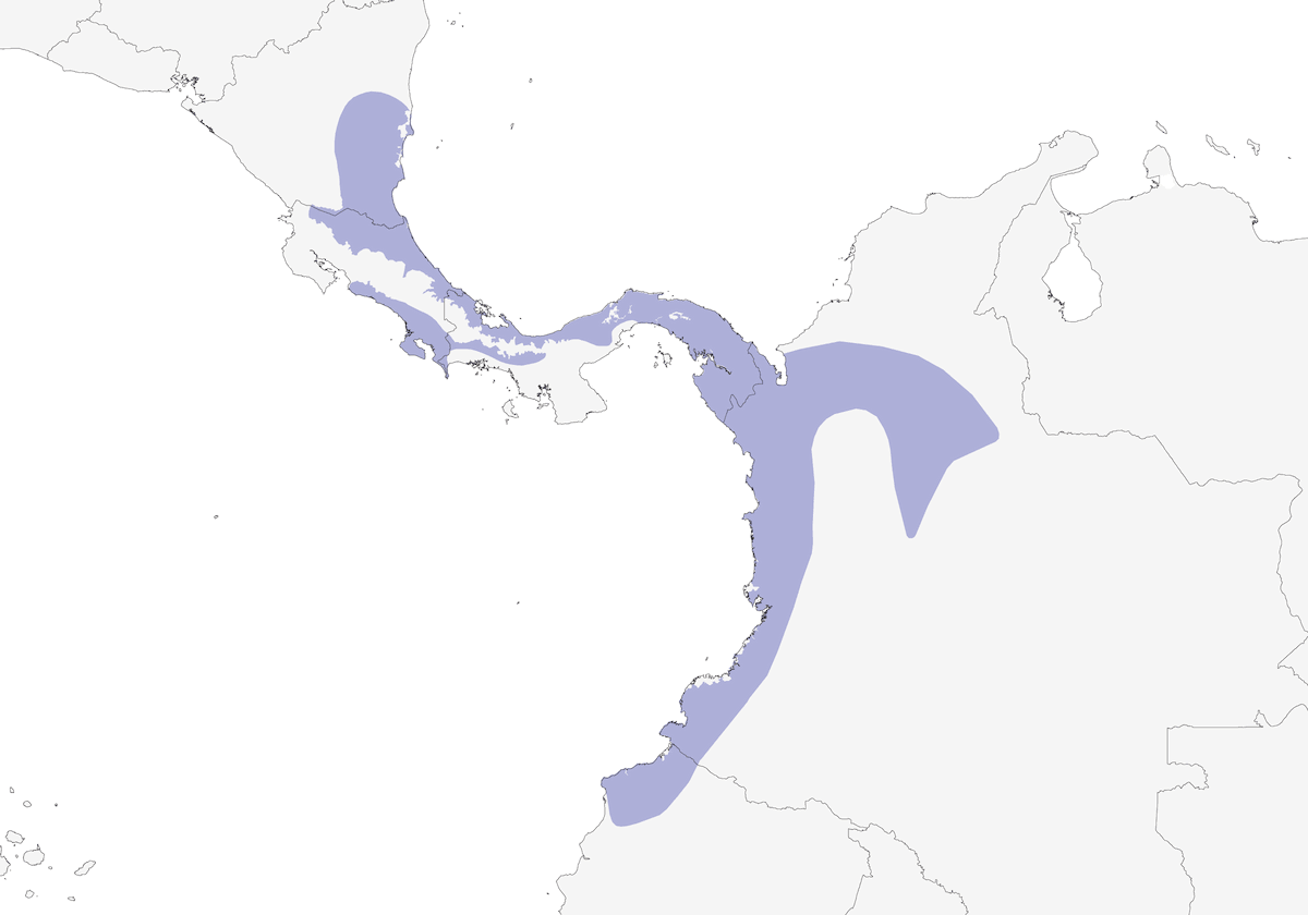 Black-striped Woodcreeper, Distribution 1