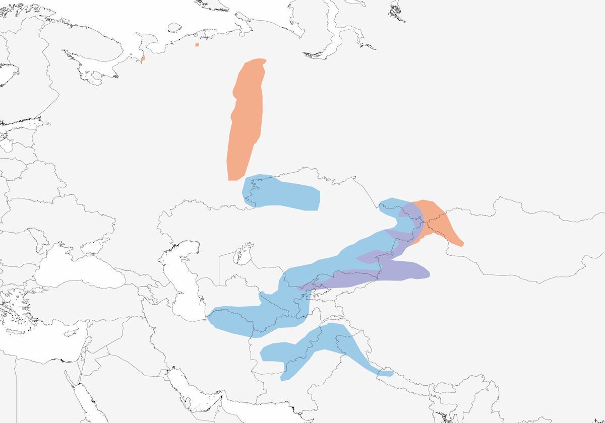 Black-throated Accentor, Distribution 1