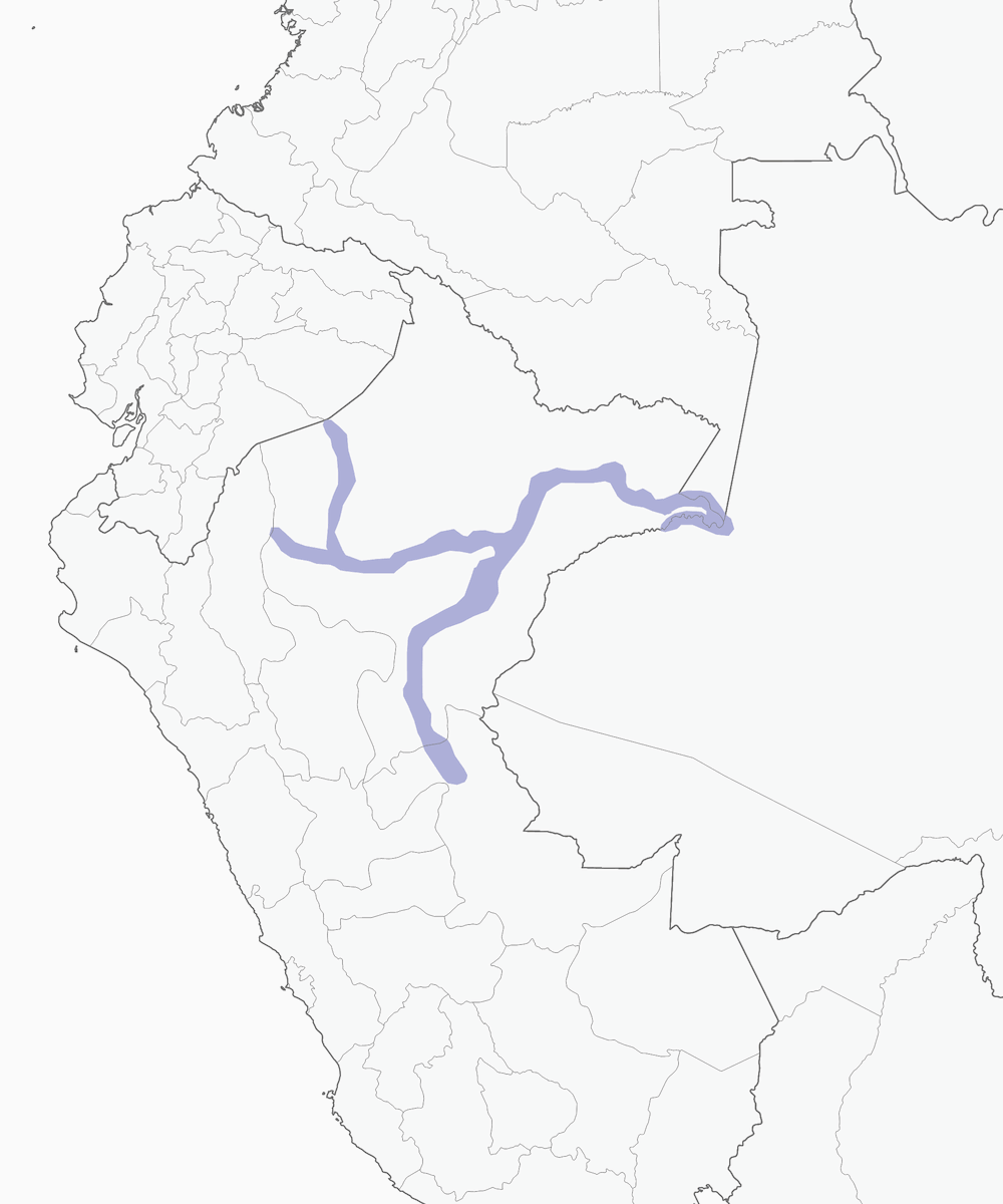 Mirmeciza codanera, Distribuzione 1