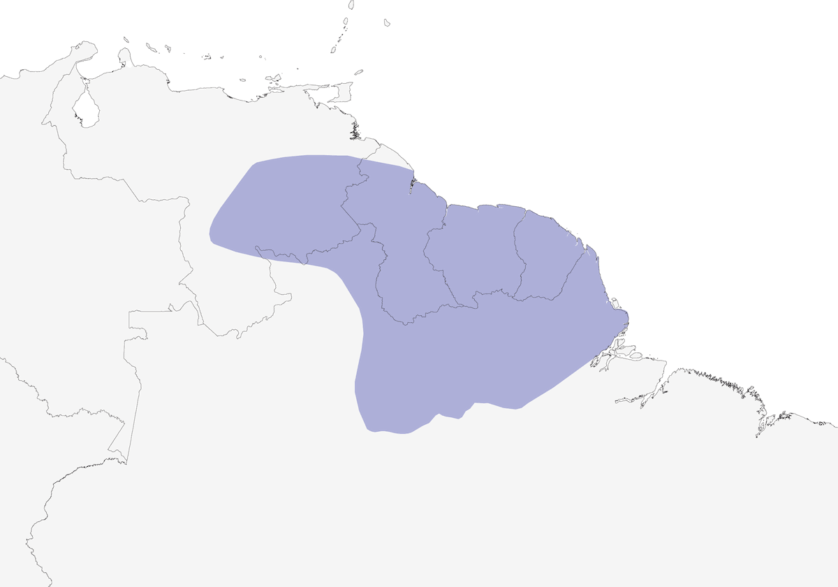 Black-throated Antshrike, Distribution 1