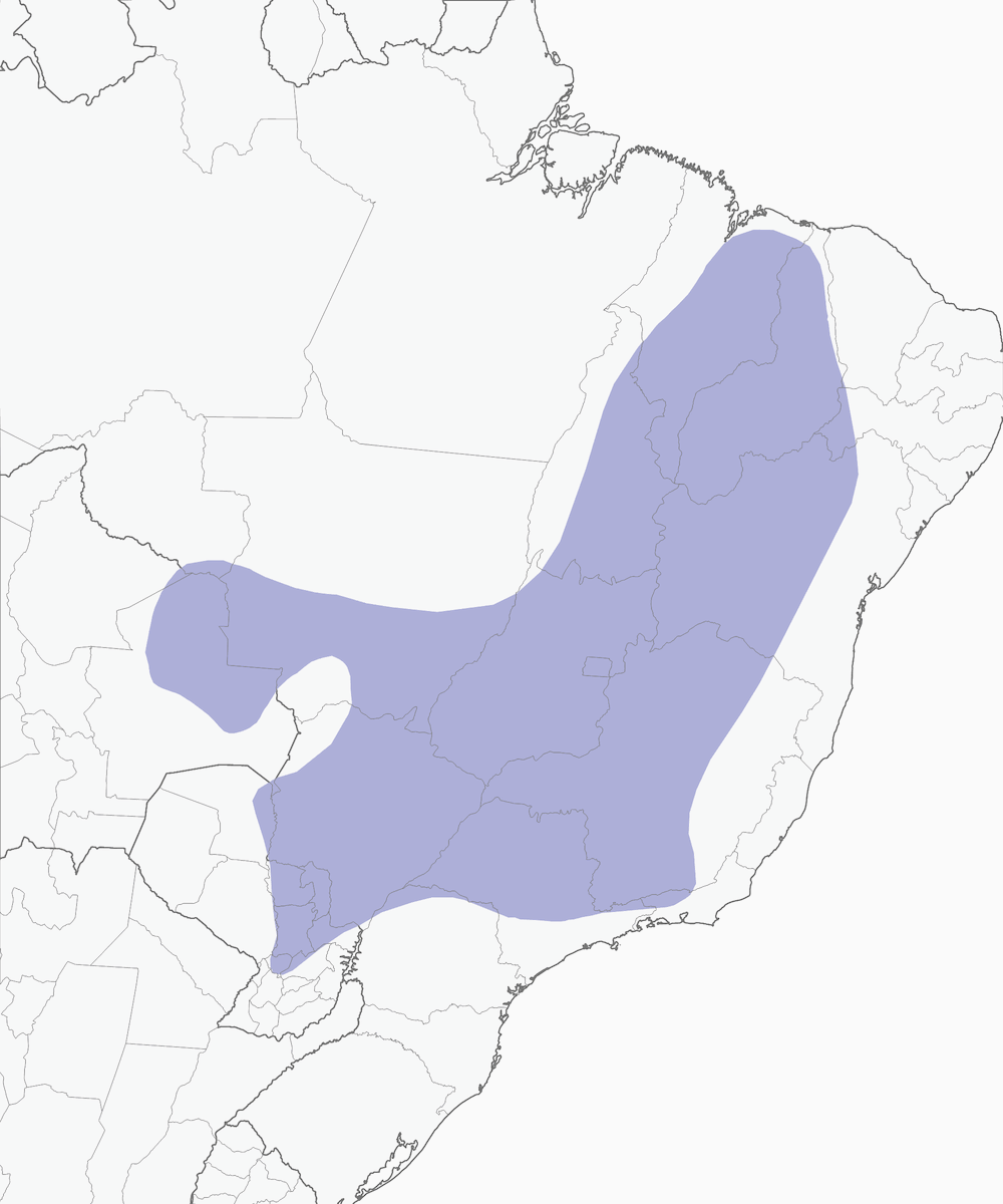 Black-throated Saltator, Distribution 1