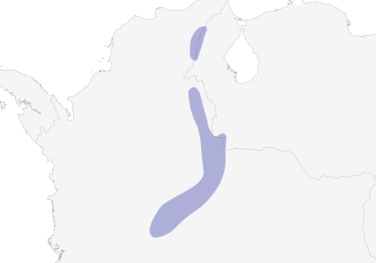 Coeligène hélianthe, Distribution 1