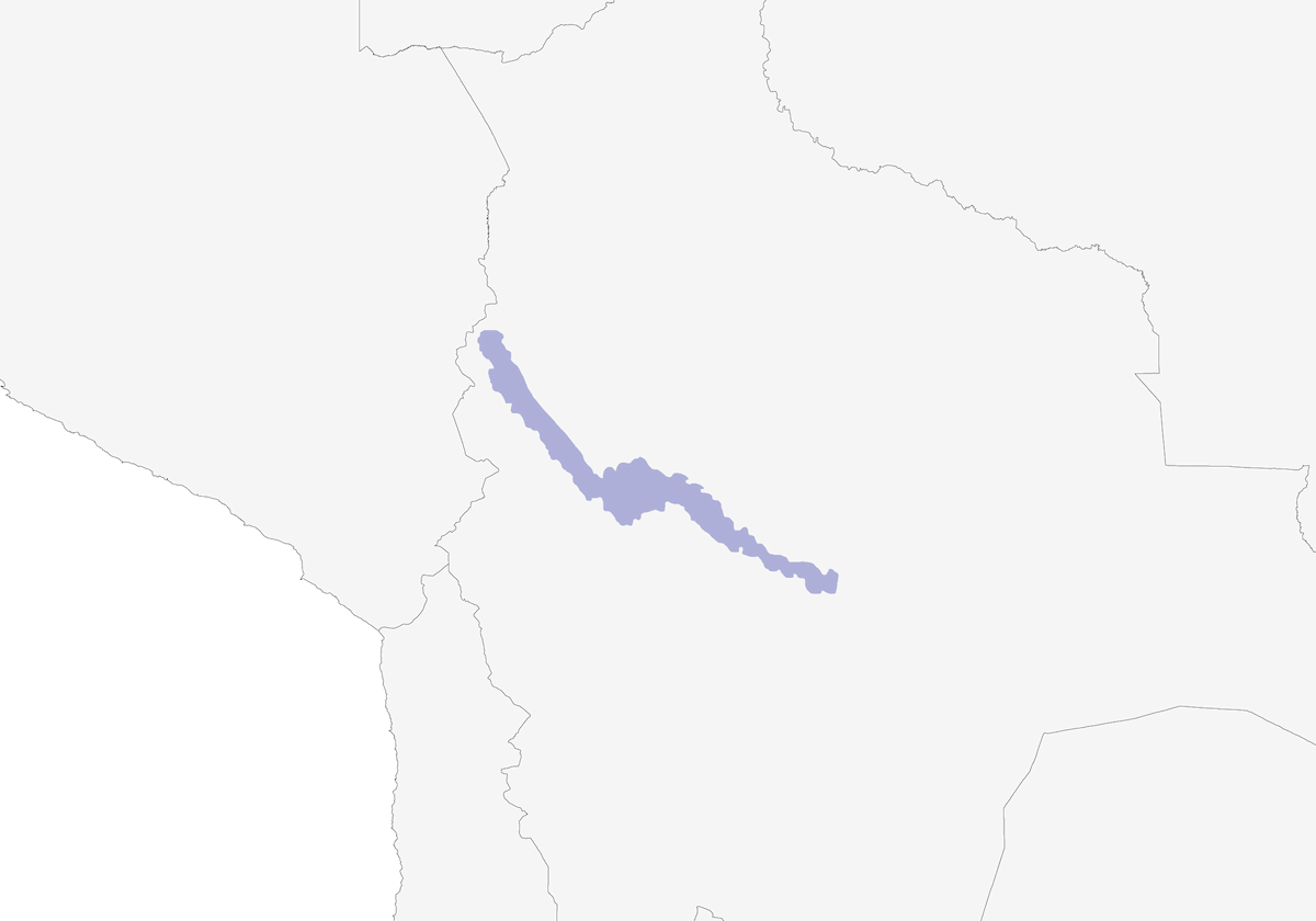 Codispina gola nera, Distribuzione 1