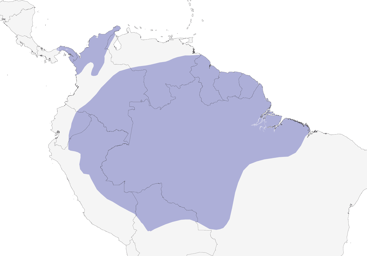 Black-tailed Trogon, Distribution 1