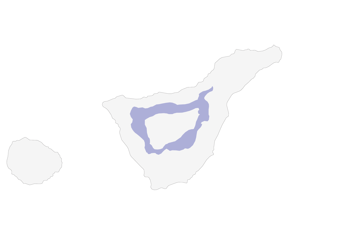 Pinson bleu de Tenerife, Distribution 1