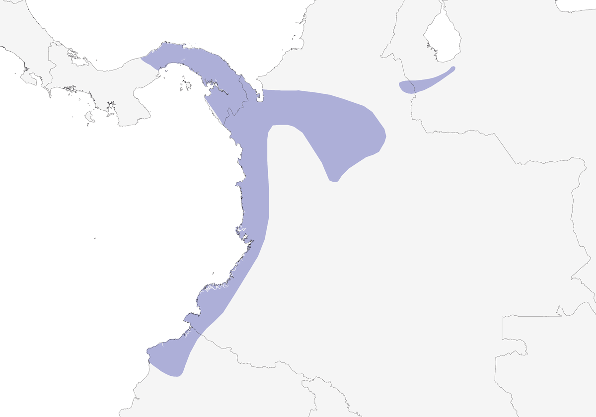 Cotinga céleste, Distribution 1