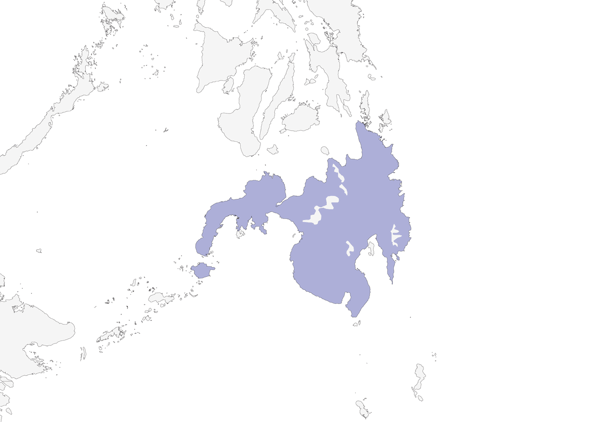 Coda a ventaglio blu di Mindanao, Distribuzione 1