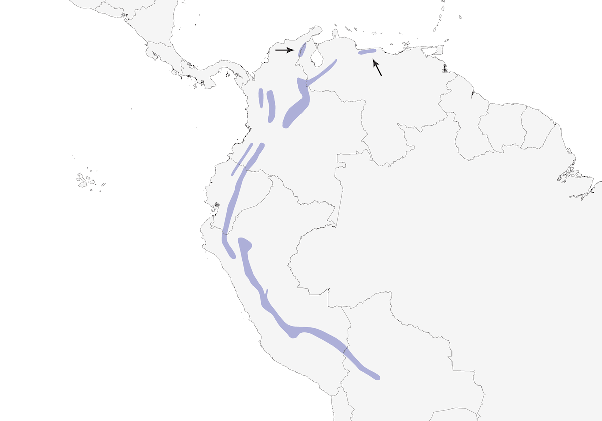 Bluish Flowerpiercer, Distribution 1