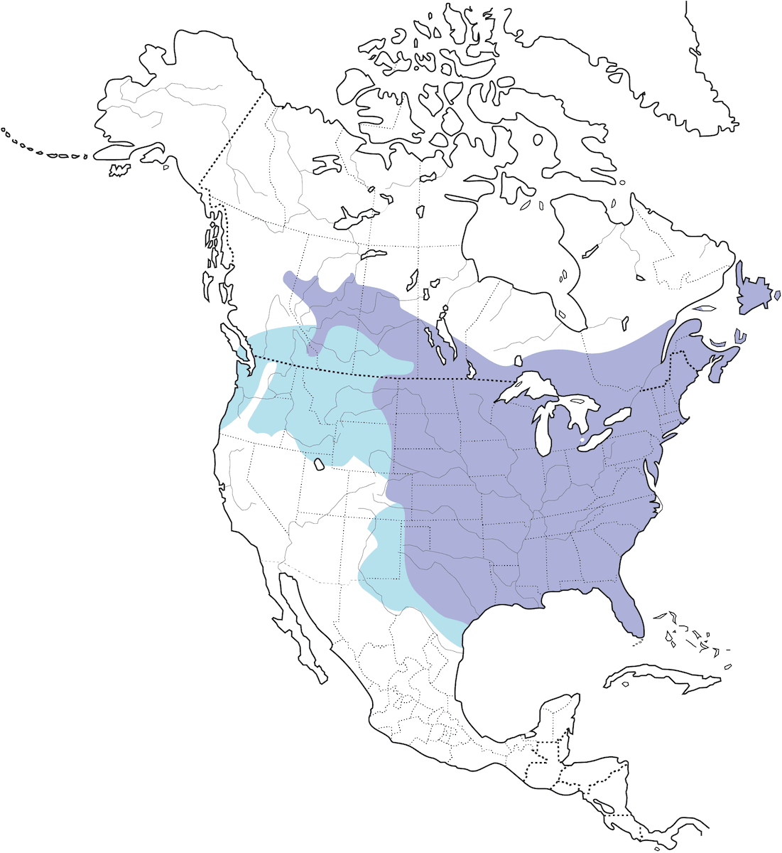 Geai bleu, Distribution 1