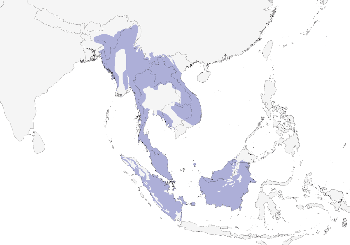 Blue-winged Leafbird, Distribution 1