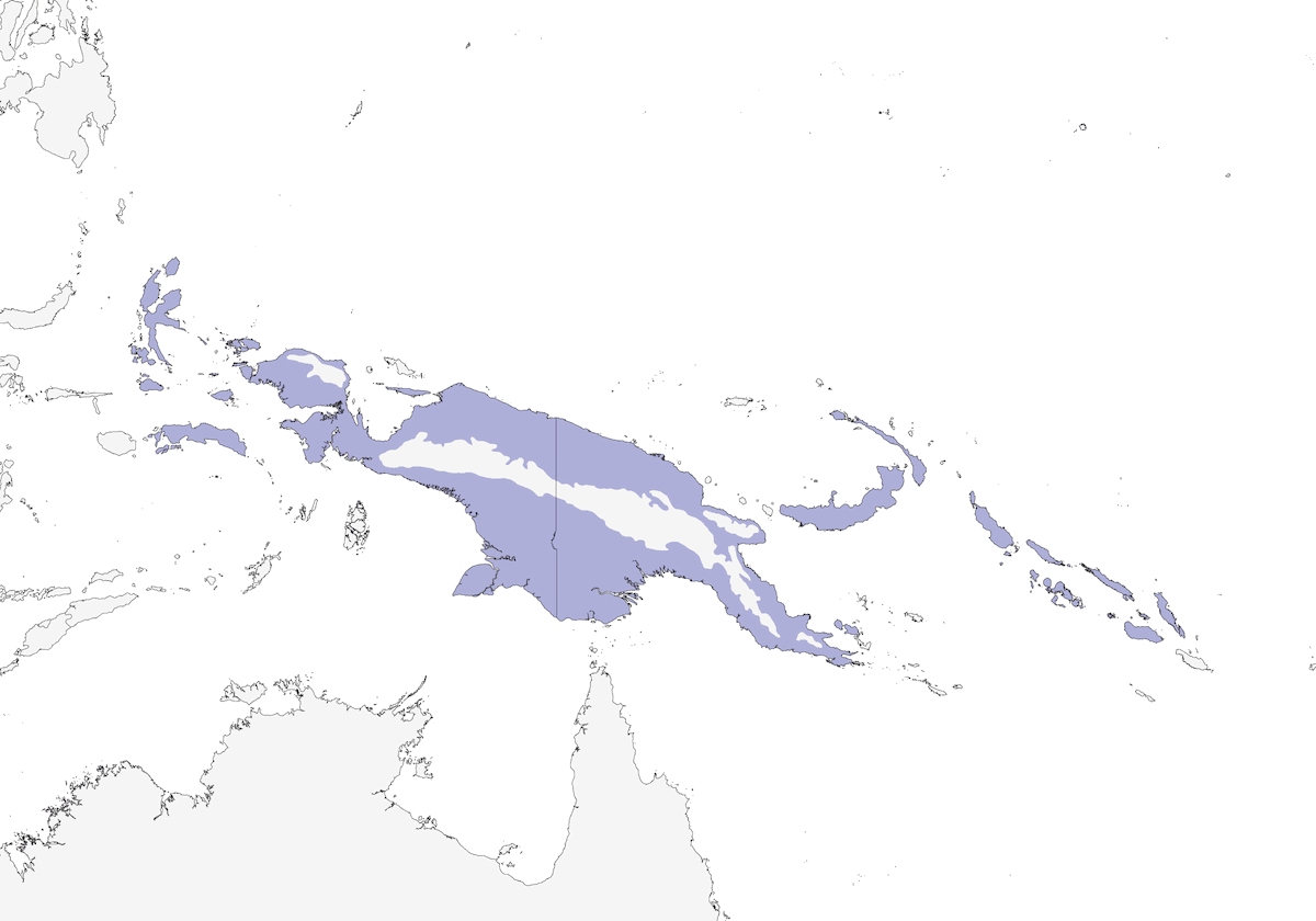 Bucero di Blyth, Distribuzione 1