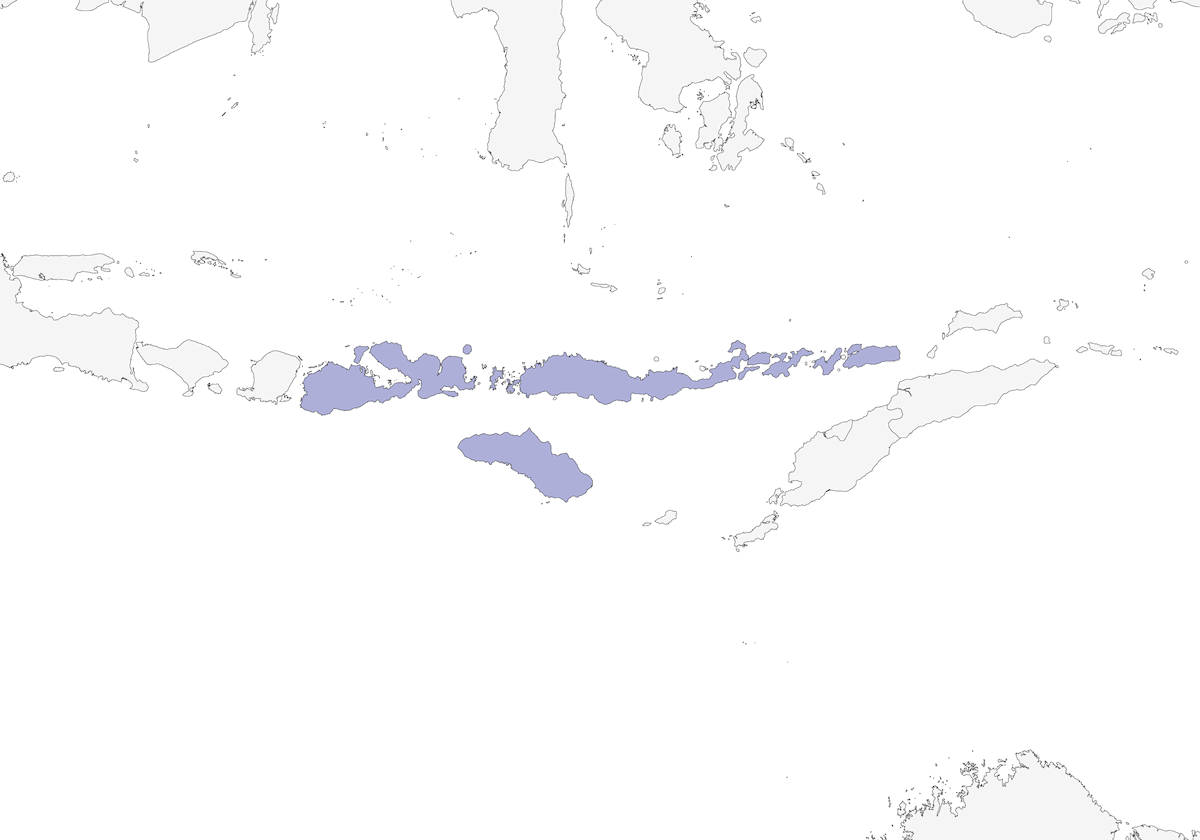Tchitrec des Tenggara, Distribution 1