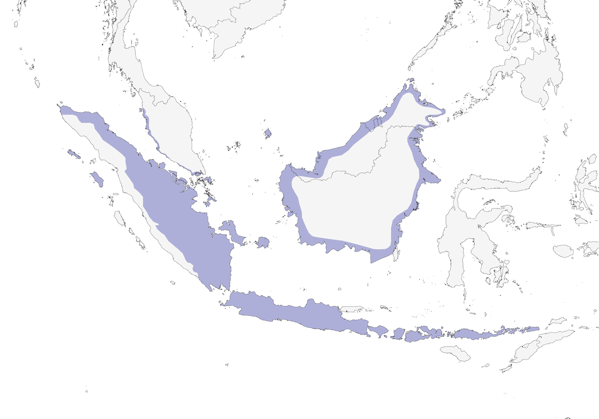 Picchio pigmeo della Sonda, Distribuzione 1