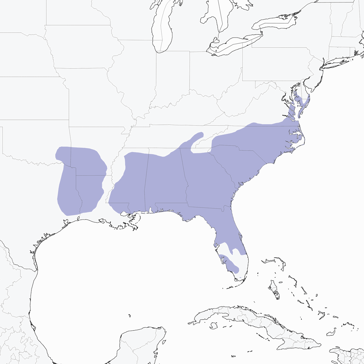 Brown-headed Nuthatch, Distribution 1