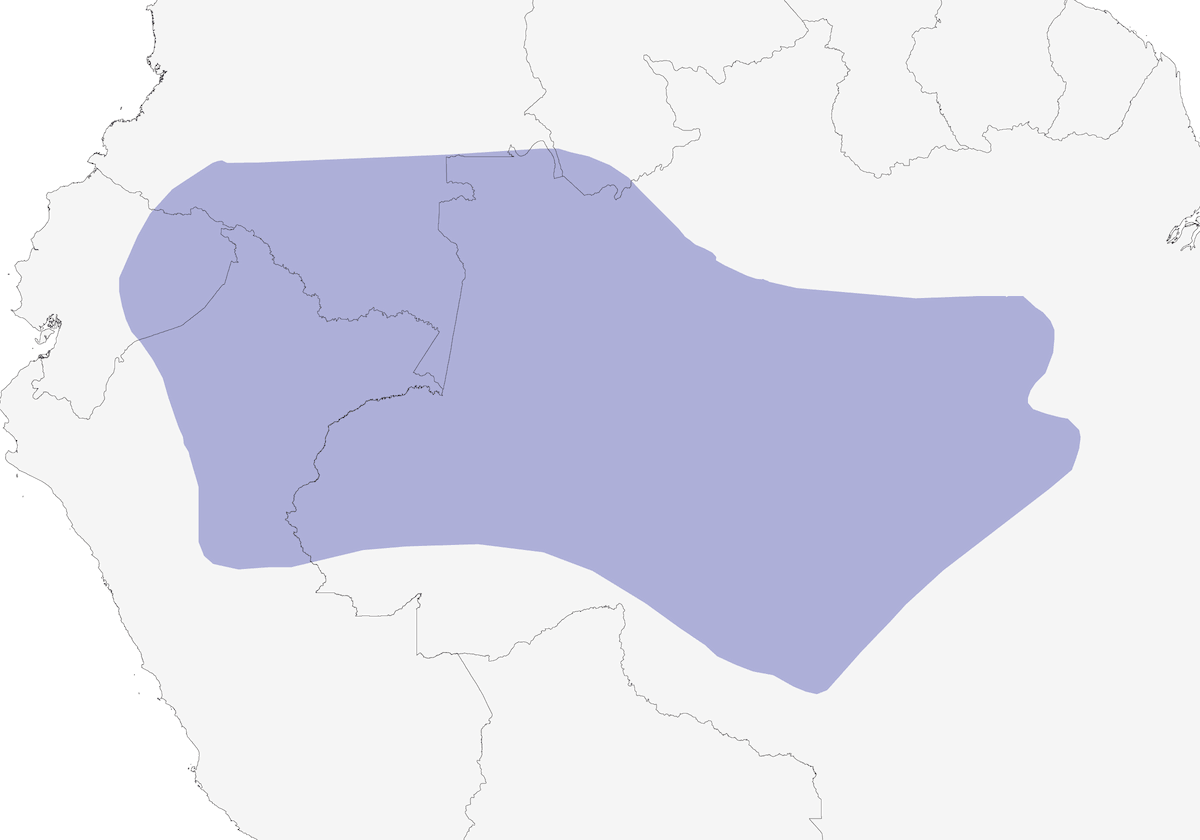 Cotinga collo nero, Distribuzione 1
