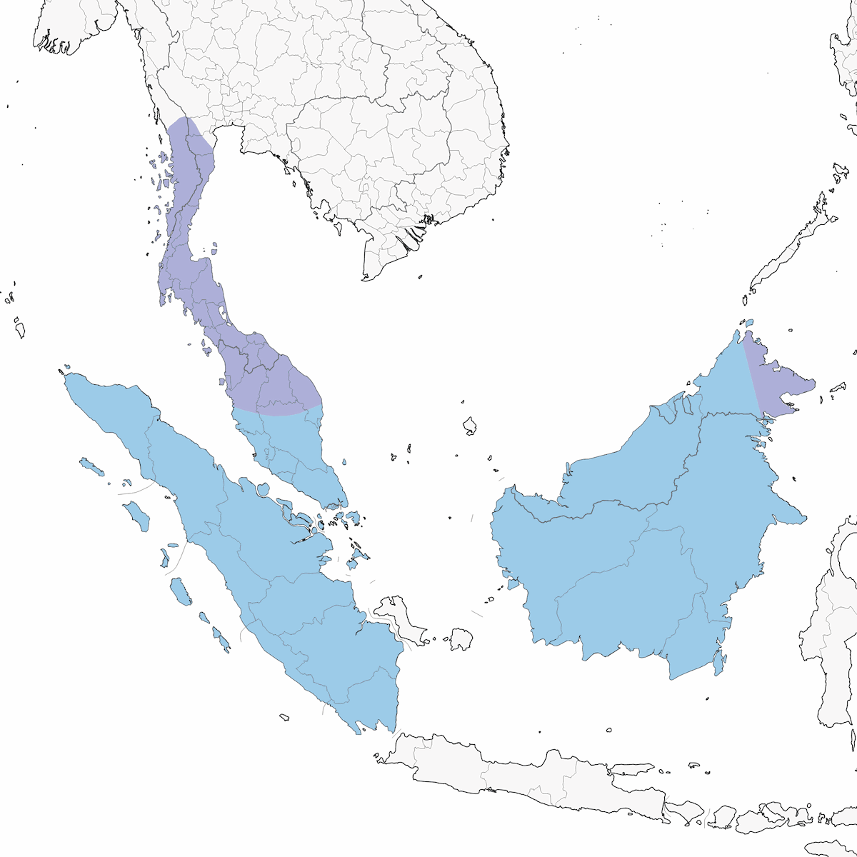 Papamoscas estriado pardo, Distribución 1