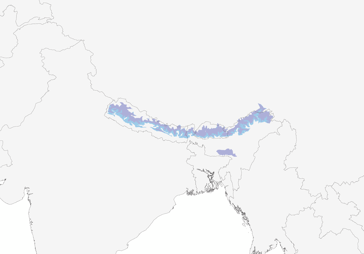 Rampichino del Sikkim, Distribuzione 1