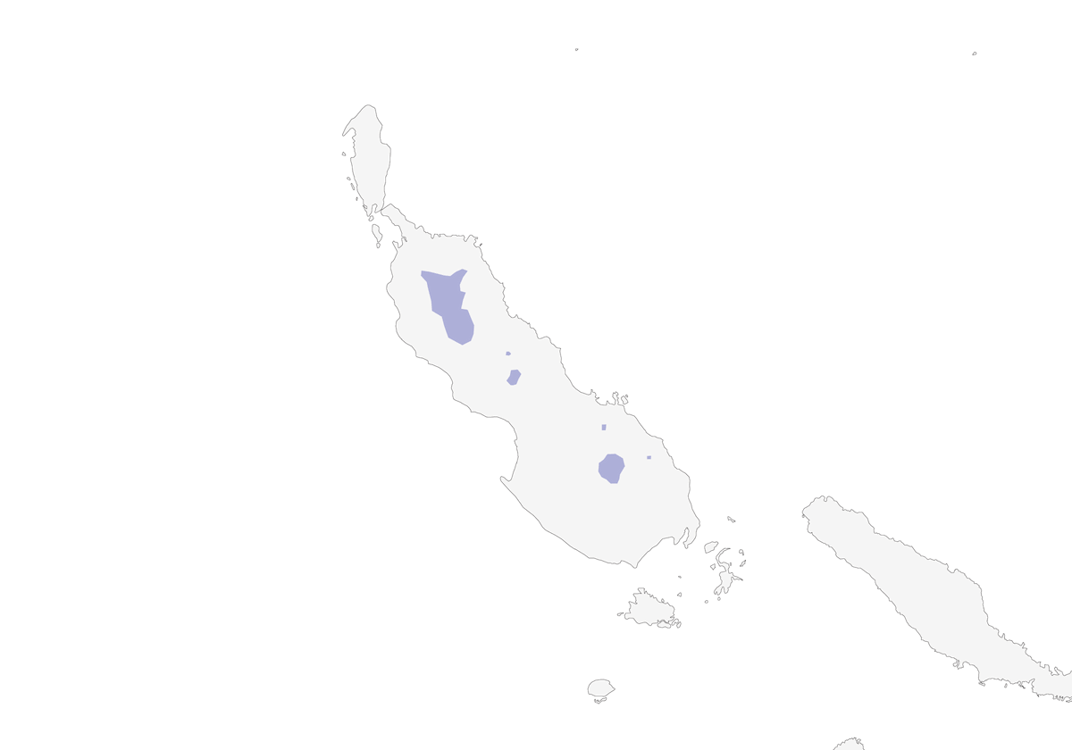 Silbador encapuchado de Bougainville, Distribución 1