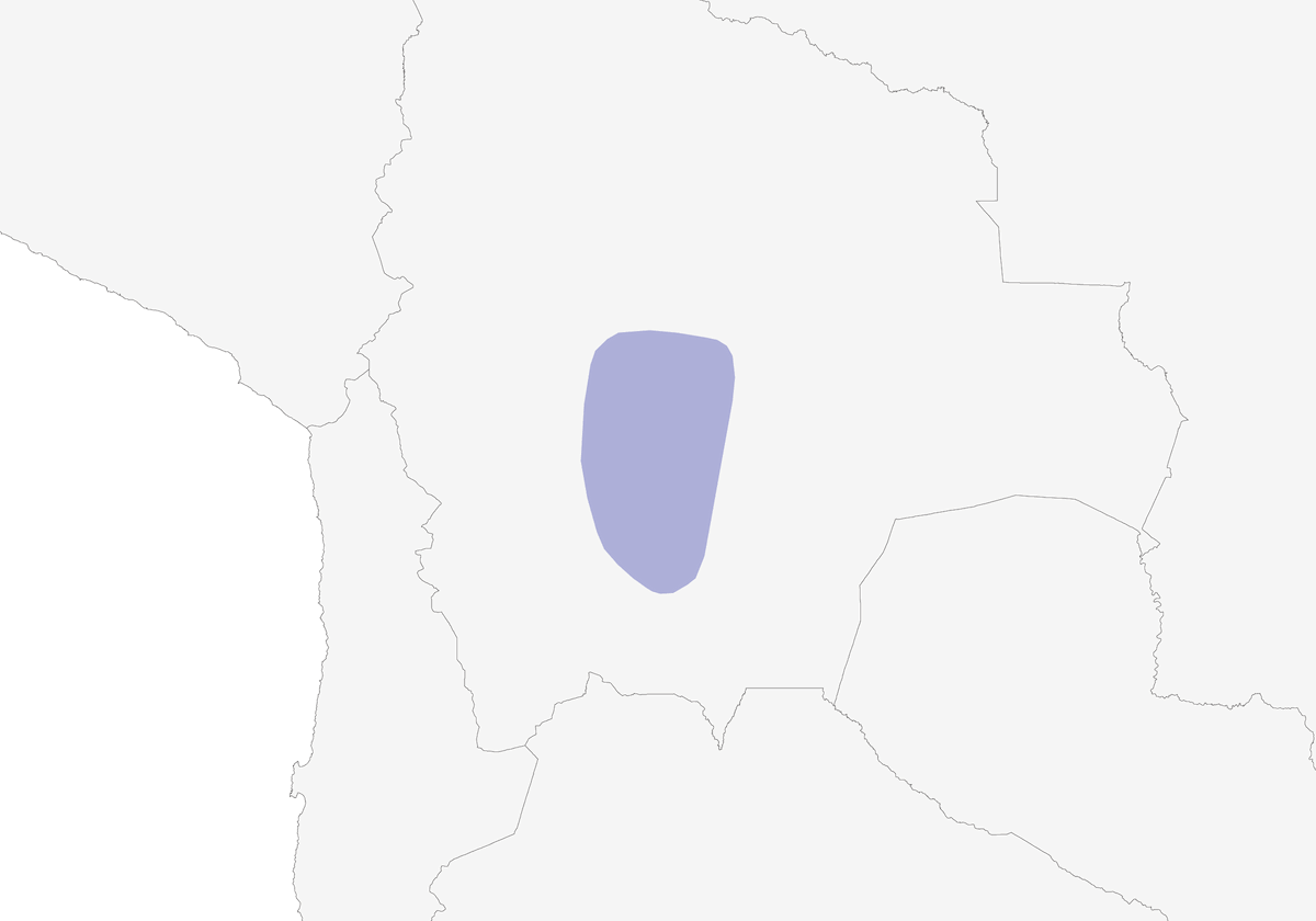 Troupiale de Bolivie, Distribution 1