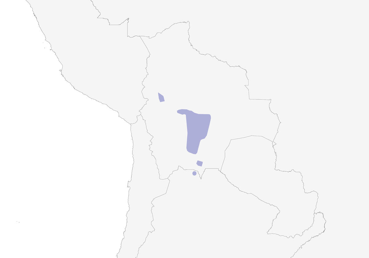 Terrarolo boliviano, Distribuzione 1