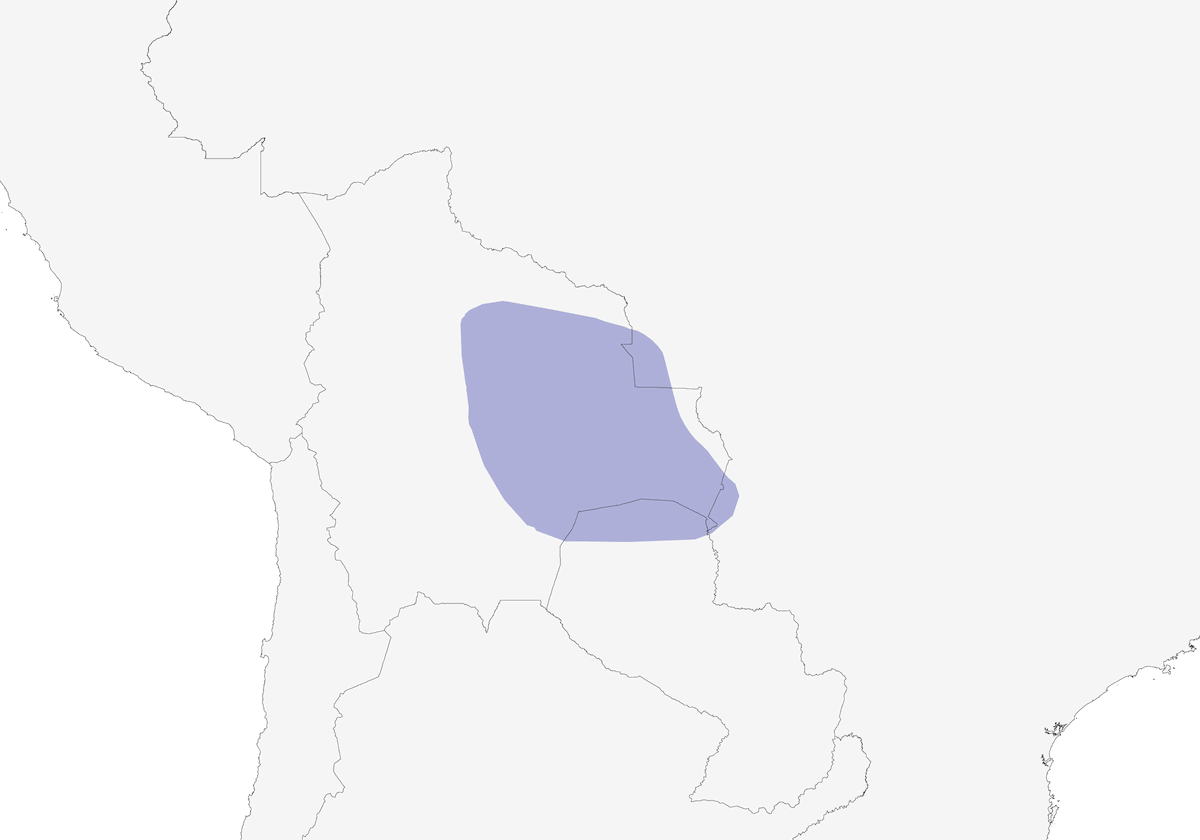 Bolivien-Ameisenwürger, Verbreitung 1
