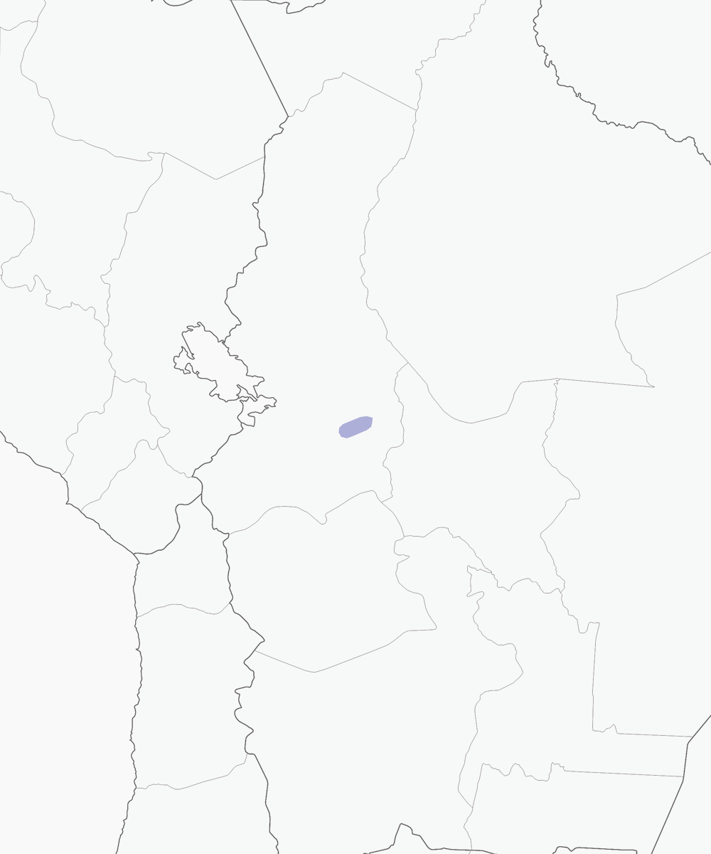 Bolivian Spinetail, Distribution 1