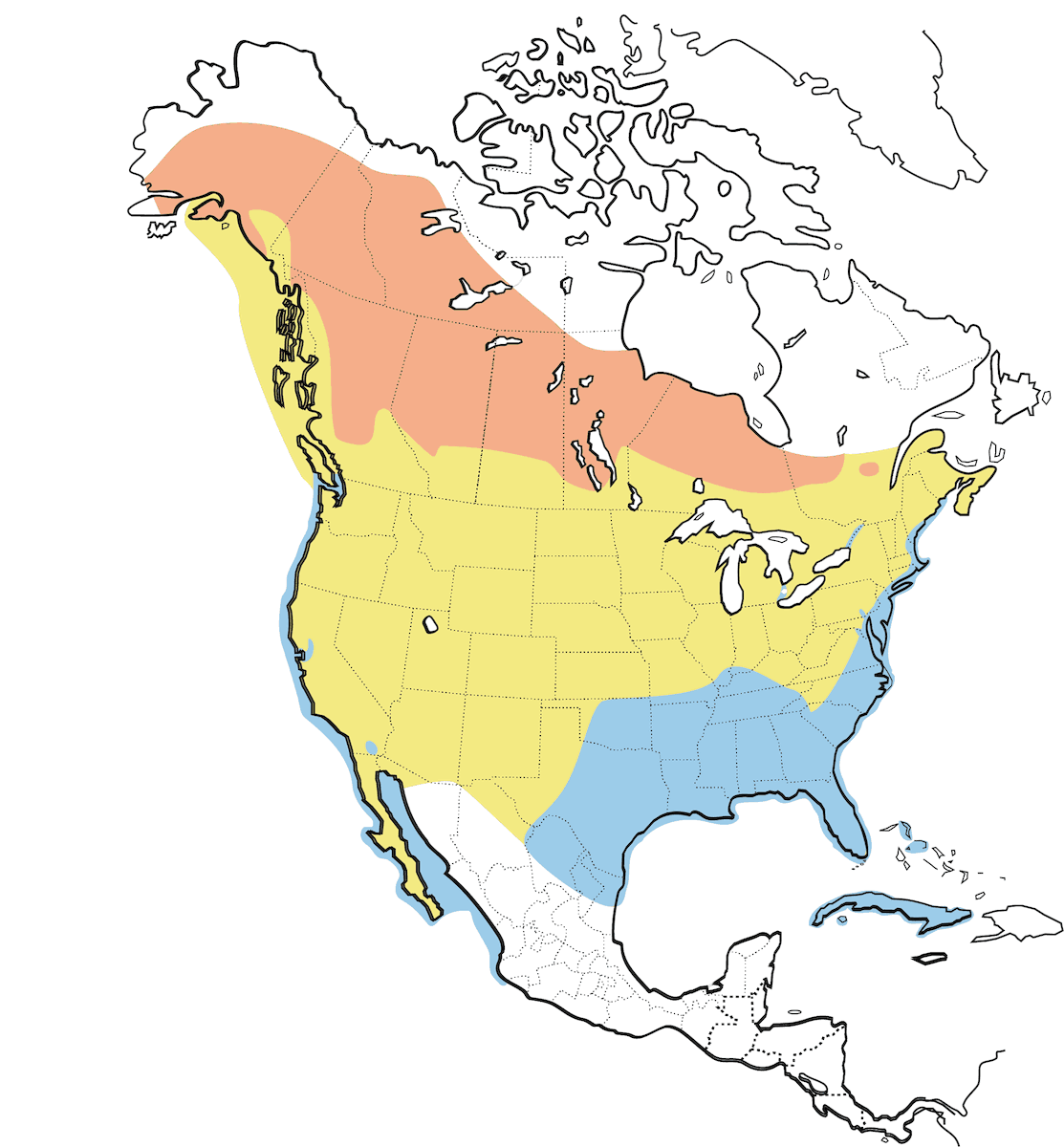 Bonaparte's Gull, Distribution 1