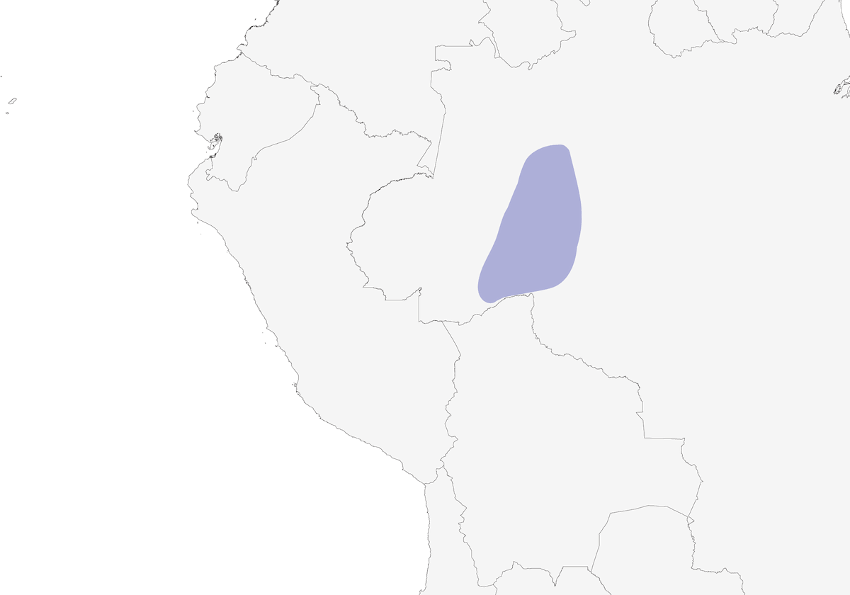 Bonaparte's Parakeet, Distribution 1