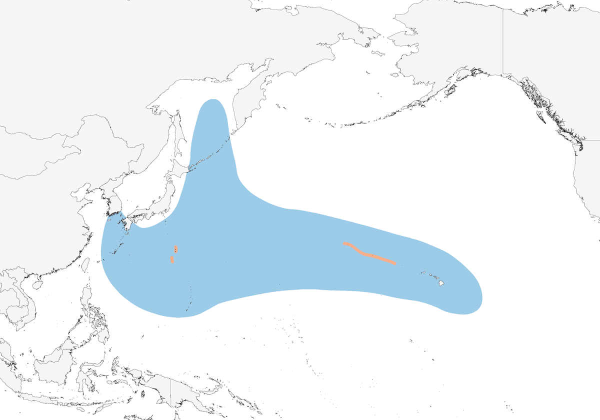 Bonin Petrel, Distribution 1