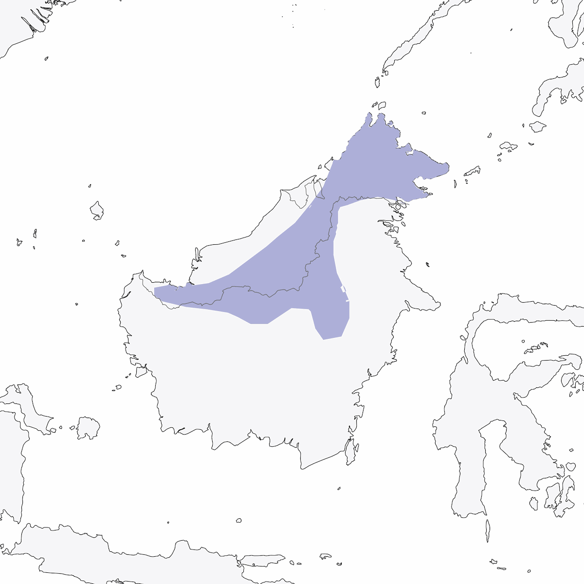 Arañero de Borneo, Distribución 1