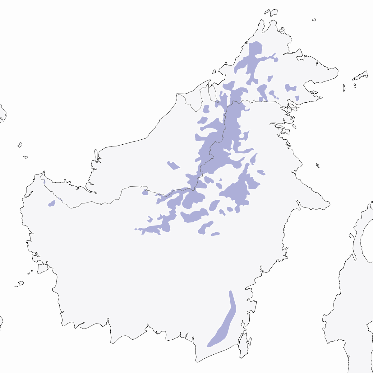 Pigliamosche del Borneo, Distribuzione 1