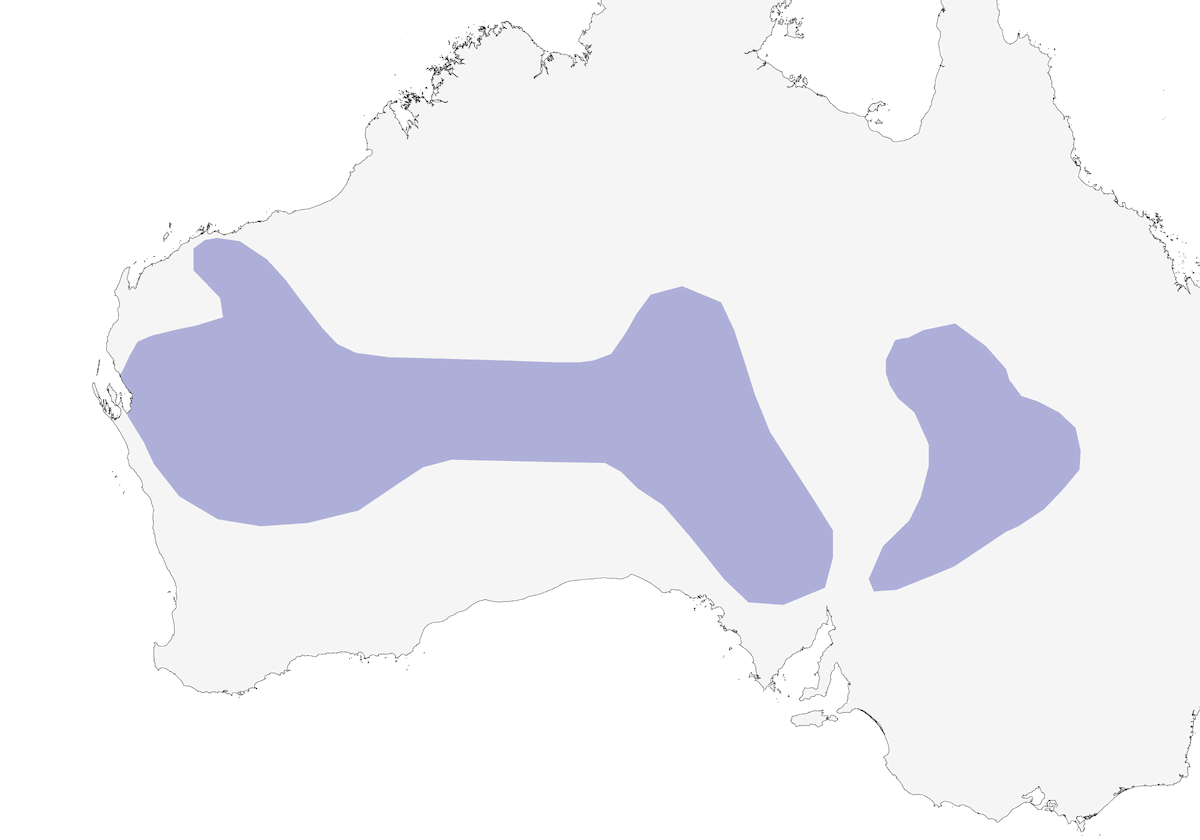Parrocchetto di Bourke, Distribuzione 1