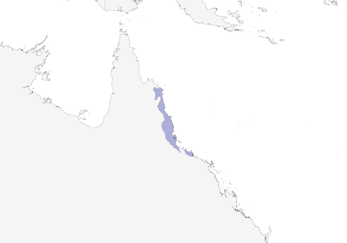 Bower's Shrikethrush, Distribution 1