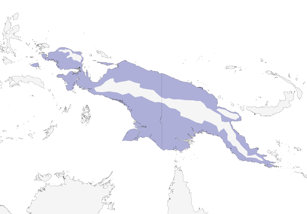 Boyer's Cuckooshrike, Distribution 1